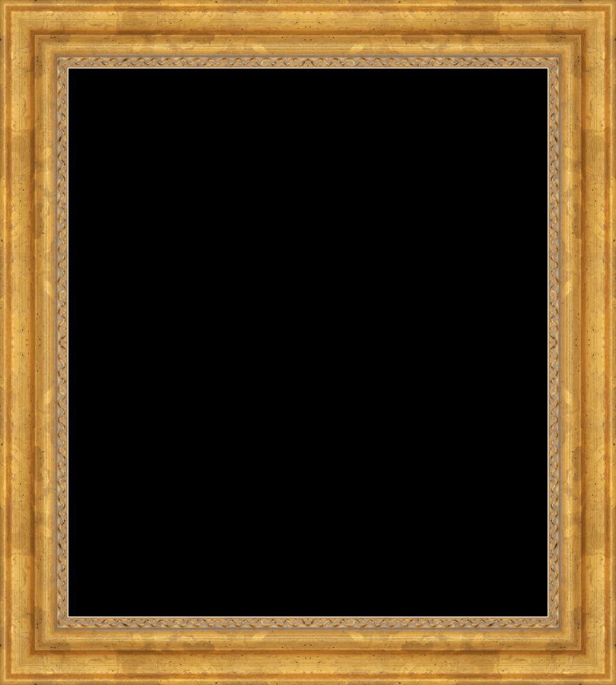 6355_Large_frameOnly_larfsh_patternFrame