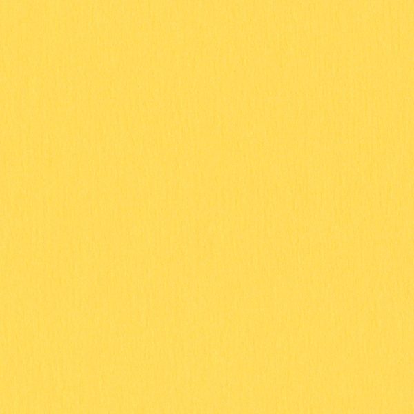 Summer - C9518