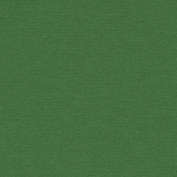 Forest Green - C9820