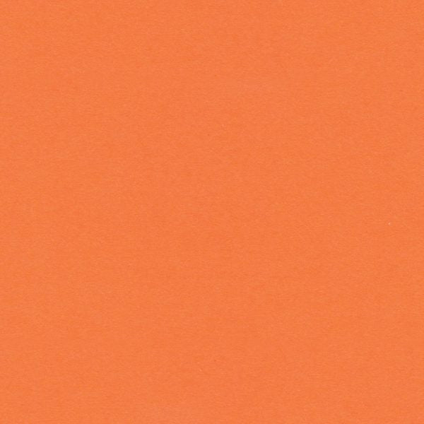 Mandarin Orange - C9876