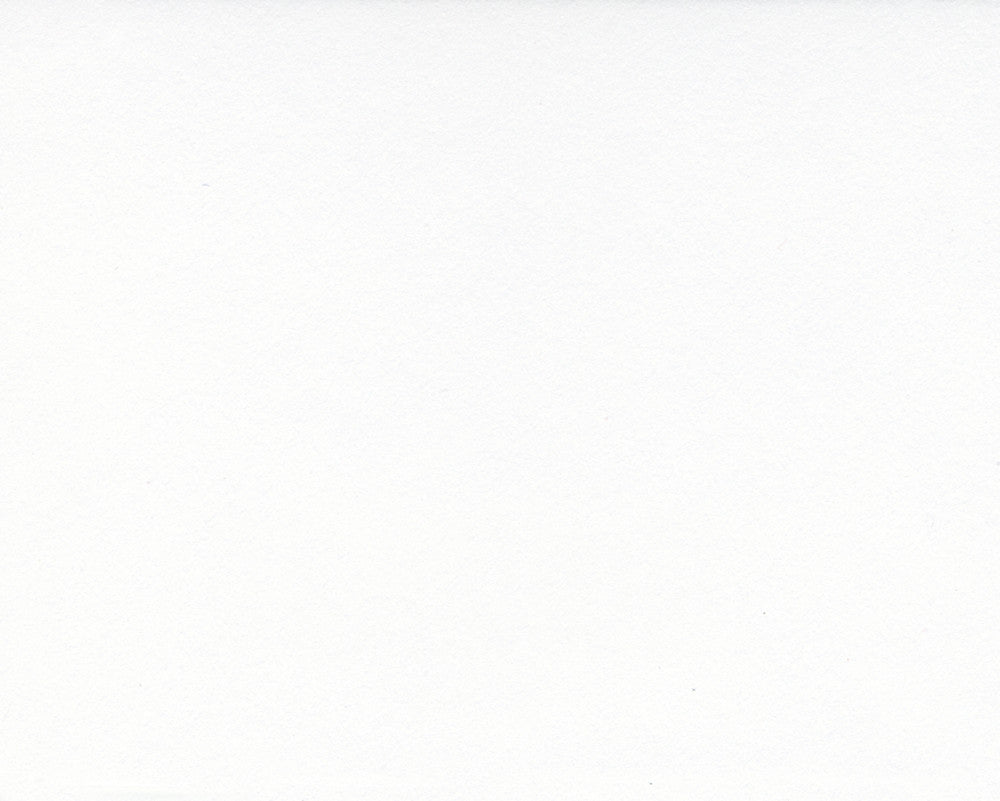 White Glove - C9500