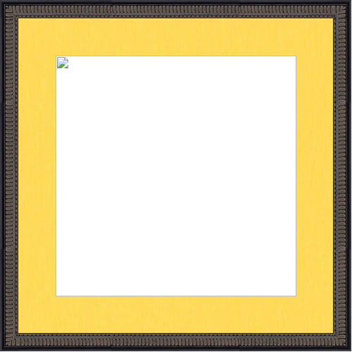 New Product Image