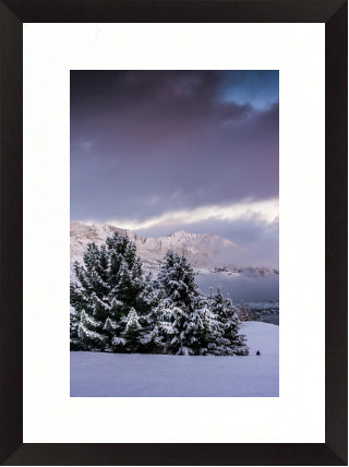 New Product Image