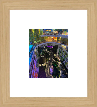 New Product Image