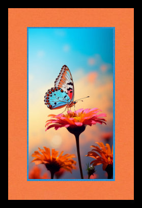 New Product Image