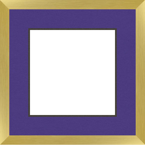 New Product Image