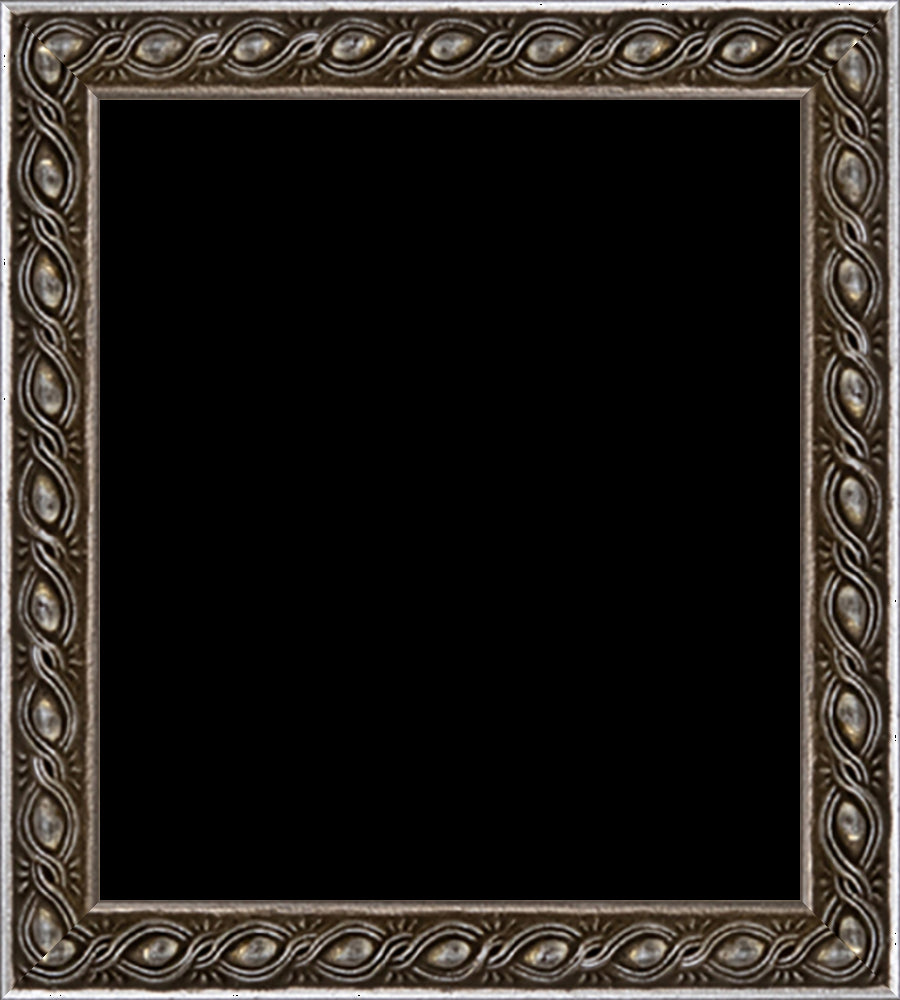 6342_Small_frameOnly_larfsh_patternFrame