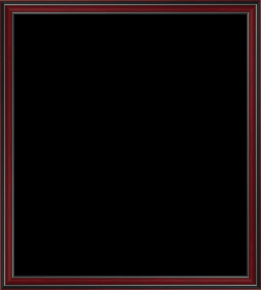 1 3/4" Panel - Gesso'D Mahogany Finish