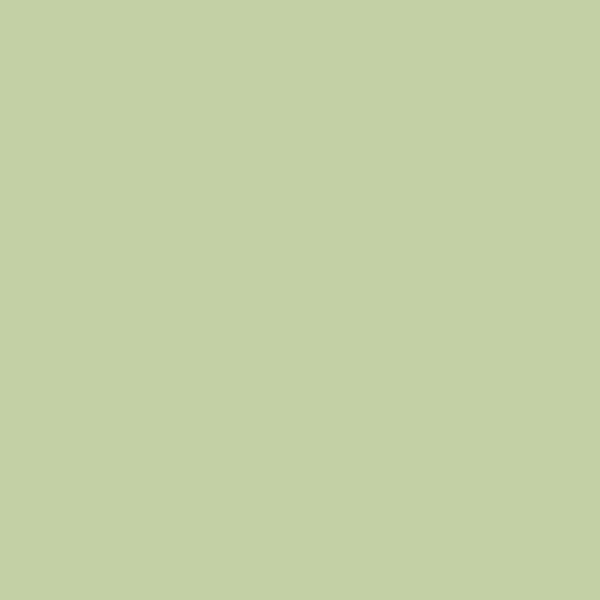 Parakeet - C8426